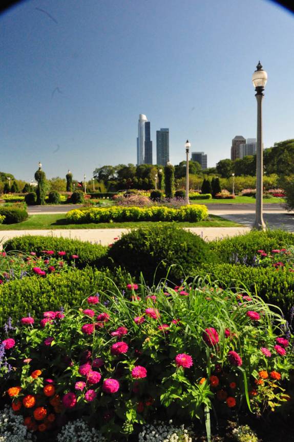 Parque florido em Chicago, em Illinois, nos Estados Unidos